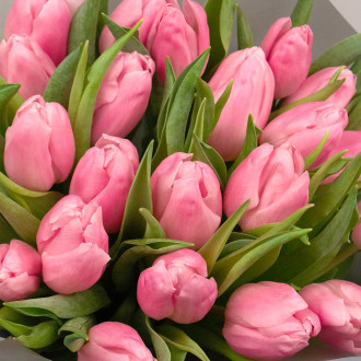 Букет из 25 розовых тюльпанов вид 1