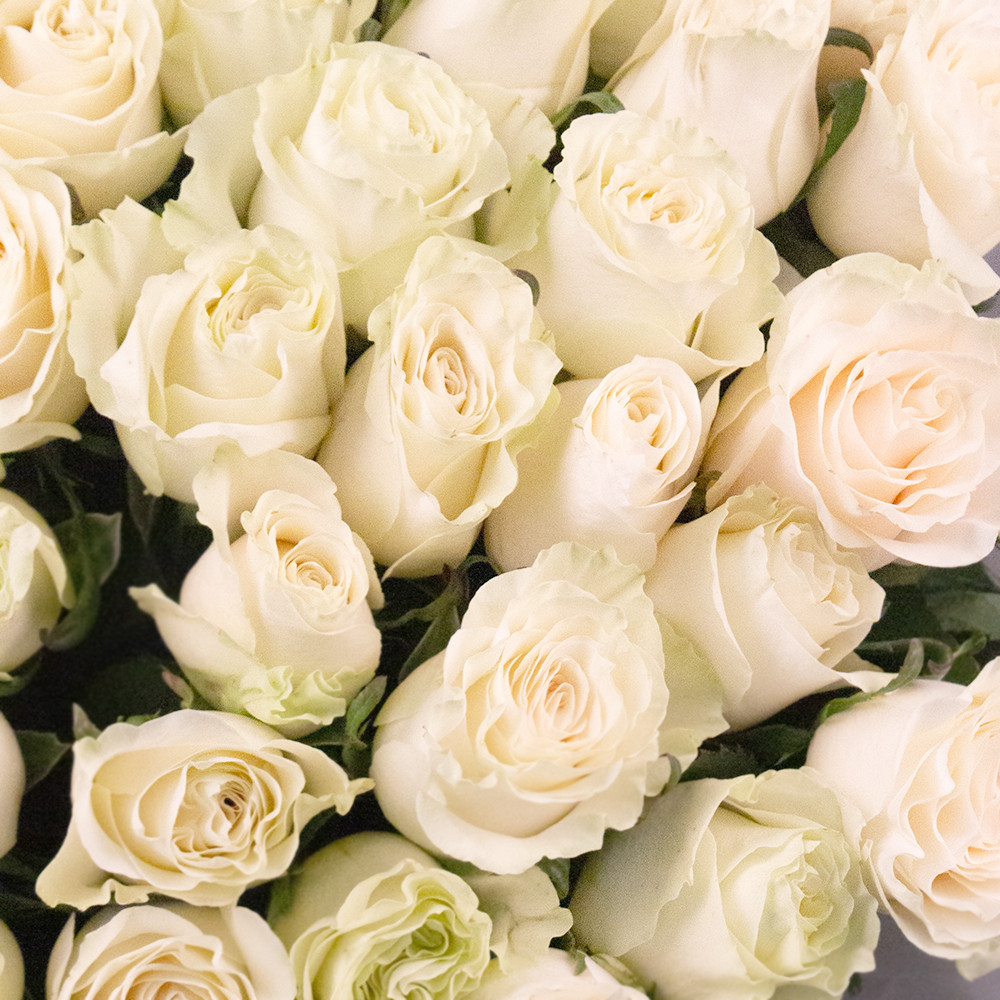 Букет из 51 белой розы вид 1