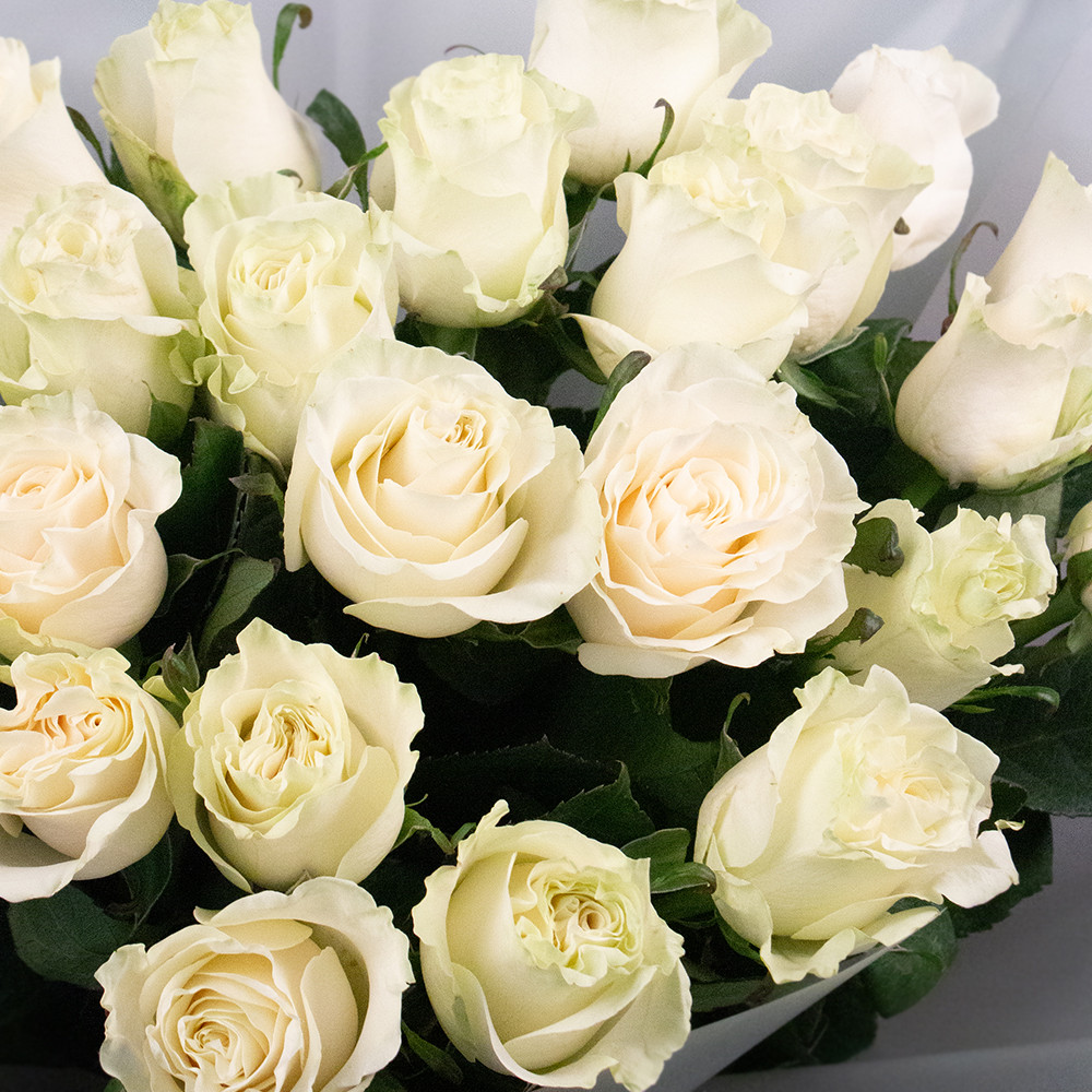 Букет из 25 белых роз вид 1