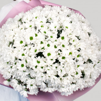 Букет из 51 белой хризантемы вид 2