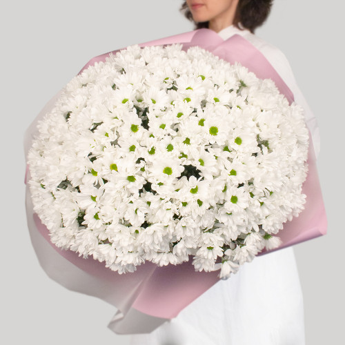 Букет из 51 белой хризантемы